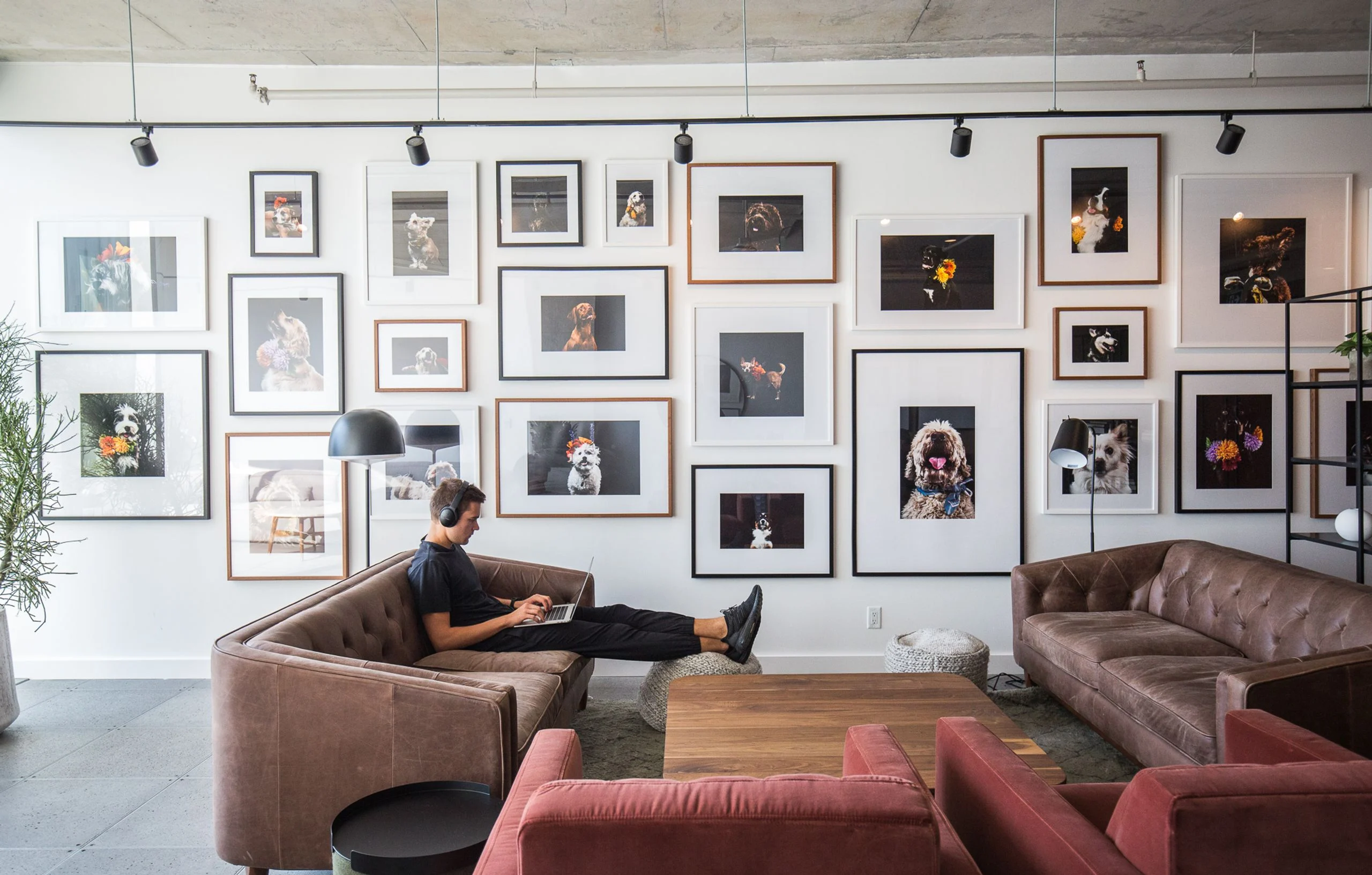 A wall of framed dog portraits above leather sofas — a signature Shopify culture moment